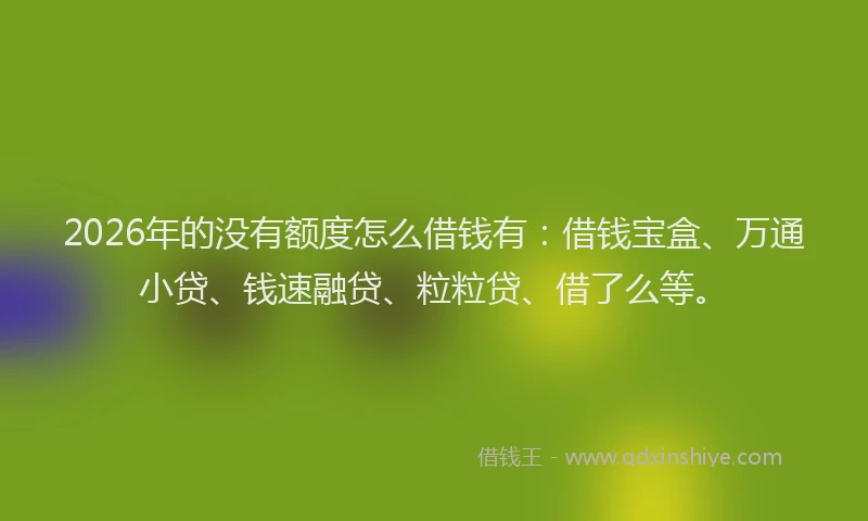 2026年的没有额度怎么借钱有：借钱宝盒、万通小贷、钱速融贷、粒粒贷、借了么等。