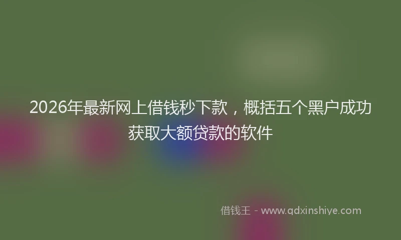 2026年最新网上借钱秒下款，概括五个黑户成功获取大额贷款的软件