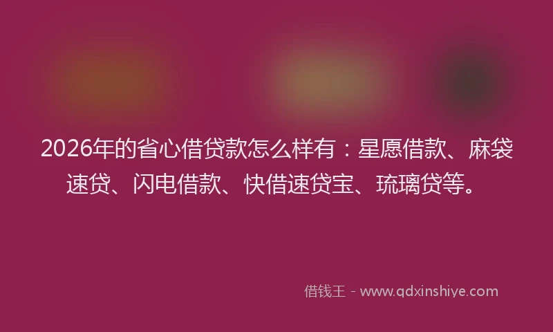 2026年的省心借贷款怎么样有：星愿借款、麻袋速贷、闪电借款、快借速贷宝、琉璃贷等。