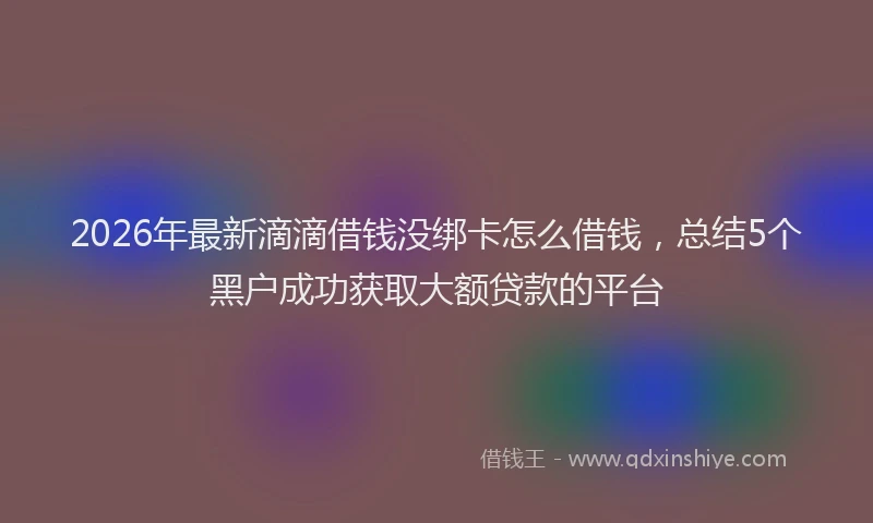 2026年最新滴滴借钱没绑卡怎么借钱，总结5个黑户成功获取大额贷款的平台