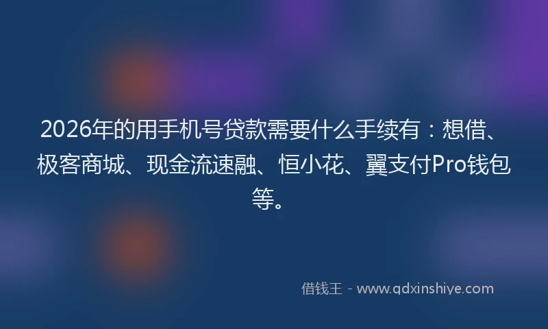 2026年的用手机号贷款需要什么手续有：想借、极客商城、现金流速融、恒小花、翼支付Pro钱包等。