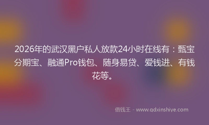 2026年的武汉黑户私人放款24小时在线有：甄宝分期宝、融通Pro钱包、随身易贷、爱钱进、有钱花等。