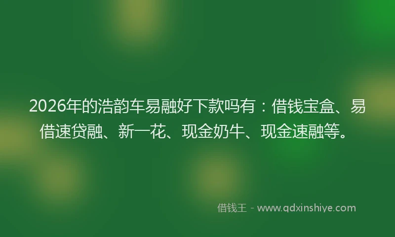 2026年的浩韵车易融好下款吗有：借钱宝盒、易借速贷融、新一花、现金奶牛、现金速融等。