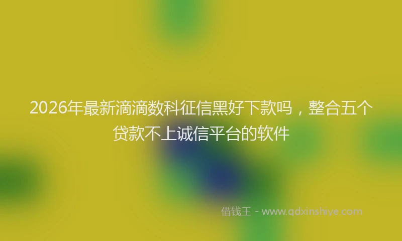 2026年最新滴滴数科征信黑好下款吗，整合五个贷款不上诚信平台的软件
