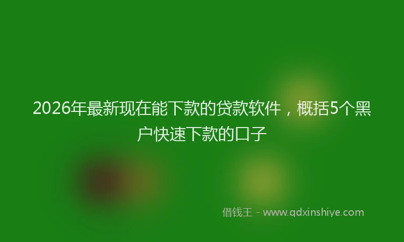 2026年最新现在能下款的贷款软件，概括5个黑户快速下款的口子