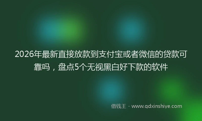 2026年最新直接放款到支付宝或者微信的贷款可靠吗，盘点5个无视黑白好下款的软件