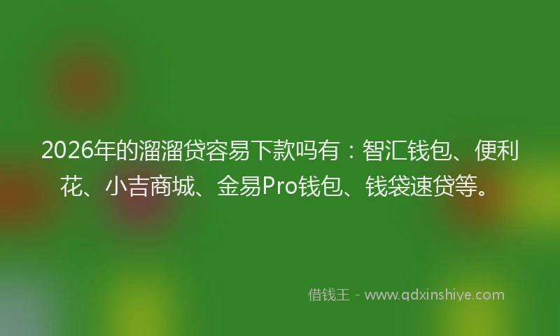2026年的溜溜贷容易下款吗有：智汇钱包、便利花、小吉商城、金易Pro钱包、钱袋速贷等。