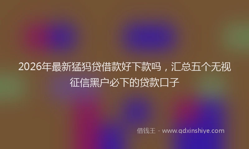 2026年最新猛犸贷借款好下款吗，汇总五个无视征信黑户必下的贷款口子