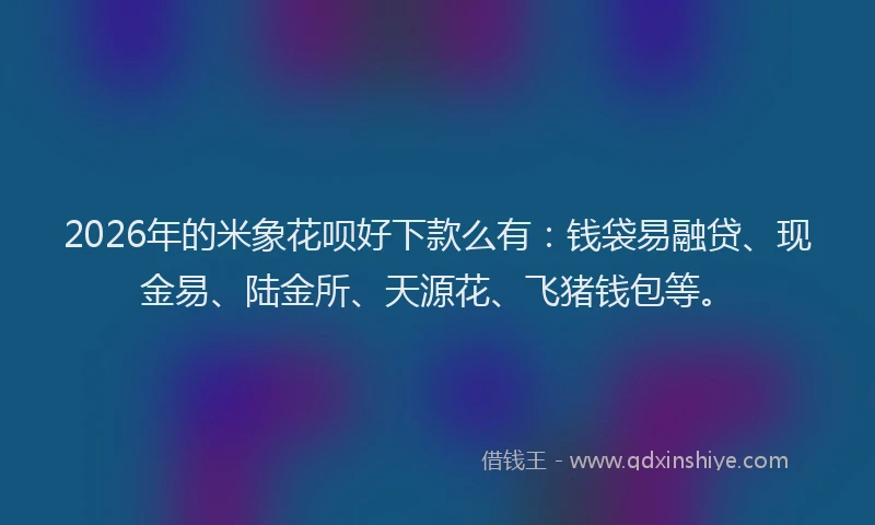2026年的米象花呗好下款么有：钱袋易融贷、现金易、陆金所、天源花、飞猪钱包等。