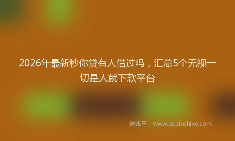2026年最新秒你贷有人借过吗，汇总5个无视一切是人就下款平台