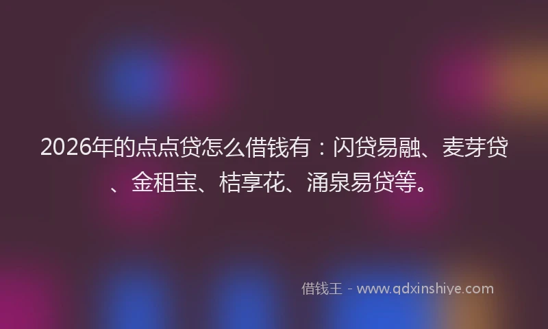 2026年的点点贷怎么借钱有：闪贷易融、麦芽贷、金租宝、桔享花、涌泉易贷等。