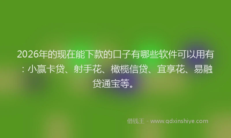 2026年的现在能下款的口子有哪些软件可以用有：小赢卡贷、射手花、橄榄信贷、宜享花、易融贷通宝等。