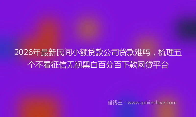 2026年最新民间小额贷款公司贷款难吗，梳理五个不看征信无视黑白百分百下款网贷平台