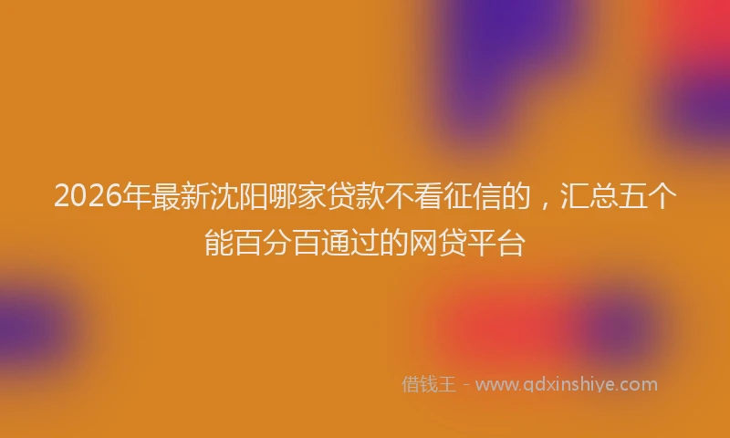 2026年最新沈阳哪家贷款不看征信的，汇总五个能百分百通过的网贷平台