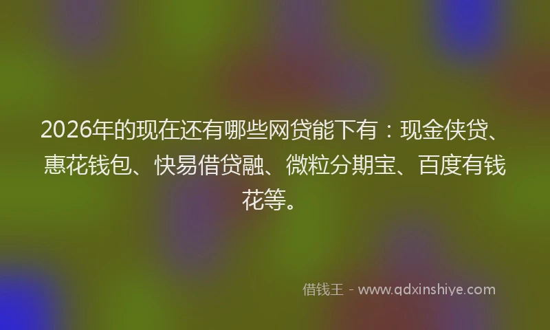 2026年的现在还有哪些网贷能下有：现金侠贷、惠花钱包、快易借贷融、微粒分期宝、百度有钱花等。
