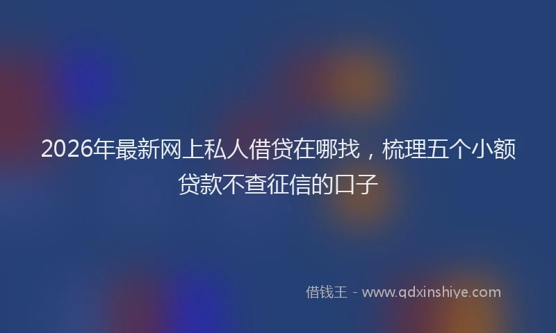 2026年最新网上私人借贷在哪找，梳理五个小额贷款不查征信的口子