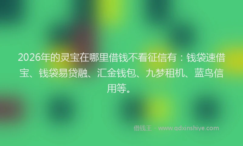 2026年的灵宝在哪里借钱不看征信有：钱袋速借宝、钱袋易贷融、汇金钱包、九梦租机、蓝鸟信用等。
