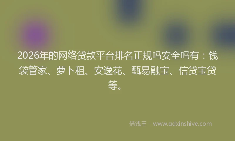 2026年的网络贷款平台排名正规吗安全吗有：钱袋管家、萝卜租、安逸花、甄易融宝、信贷宝贷等。