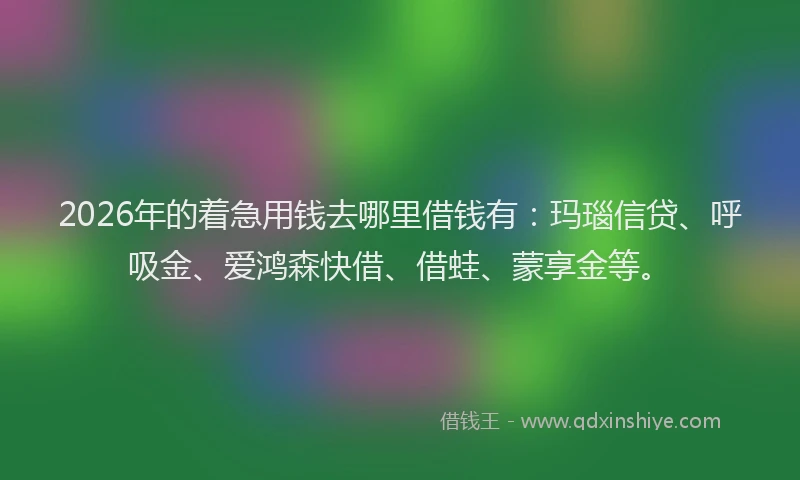 2026年的着急用钱去哪里借钱有：玛瑙信贷、呼吸金、爱鸿森快借、借蛙、蒙享金等。