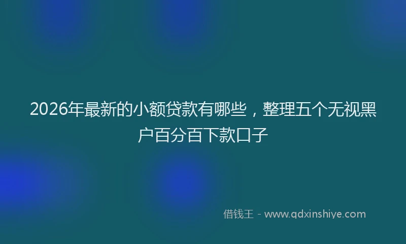 2026年最新的小额贷款有哪些，整理五个无视黑户百分百下款口子