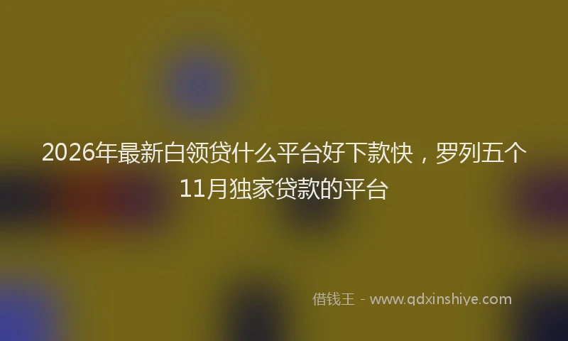 2026年最新白领贷什么平台好下款快，罗列五个11月独家贷款的平台