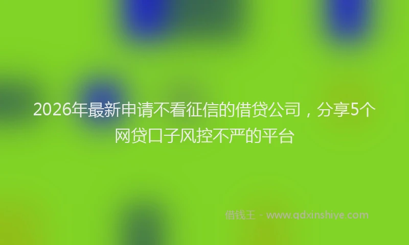 2026年最新申请不看征信的借贷公司，分享5个网贷口子风控不严的平台