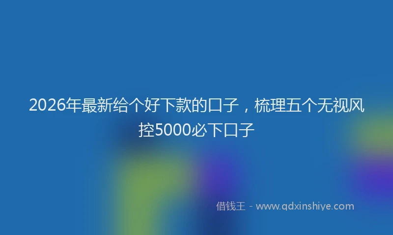 2026年最新给个好下款的口子，梳理五个无视风控5000必下口子