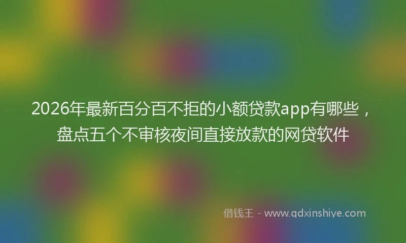 2026年最新百分百不拒的小额贷款app有哪些，盘点五个不审核夜间直接放款的网贷软件