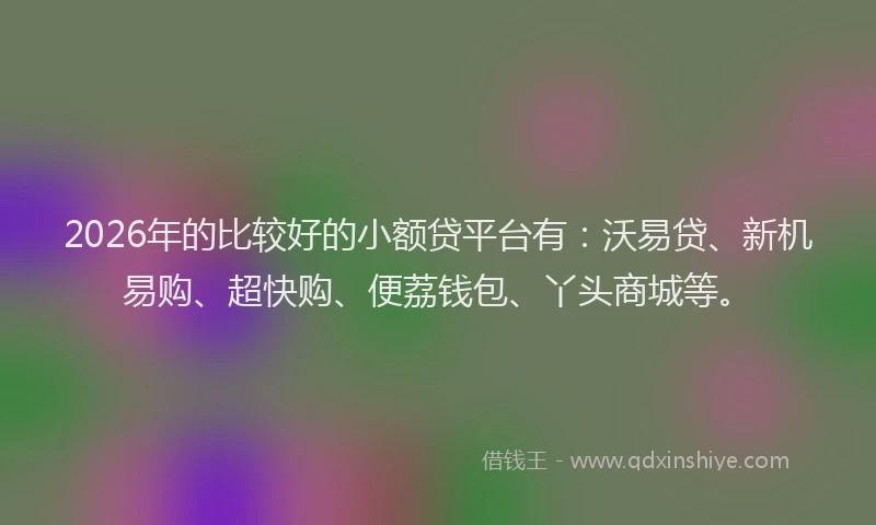 2026年的比较好的小额贷平台有：沃易贷、新机易购、超快购、便荔钱包、丫头商城等。
