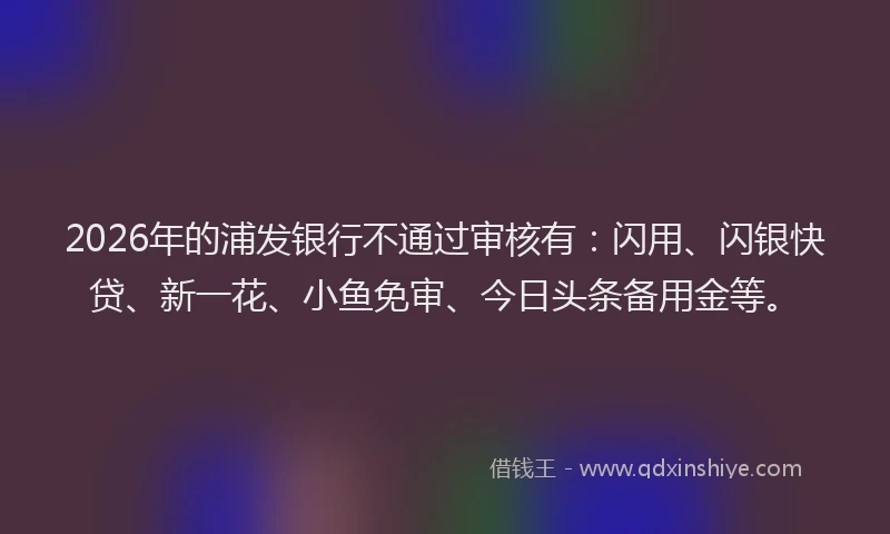 2026年的浦发银行不通过审核有：闪用、闪银快贷、新一花、小鱼免审、今日头条备用金等。