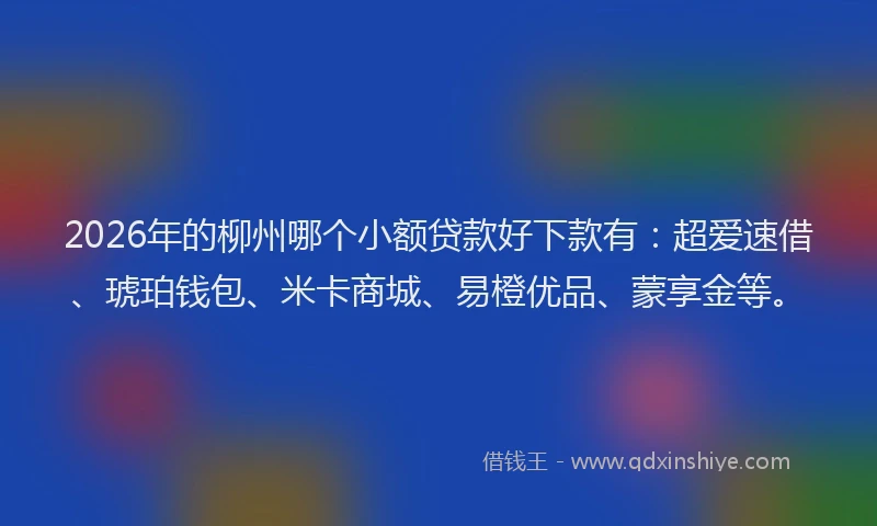 2026年的柳州哪个小额贷款好下款有：超爱速借、琥珀钱包、米卡商城、易橙优品、蒙享金等。