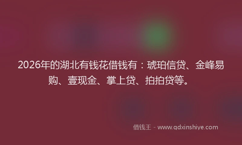 2026年的湖北有钱花借钱有：琥珀信贷、金峰易购、壹现金、掌上贷、拍拍贷等。