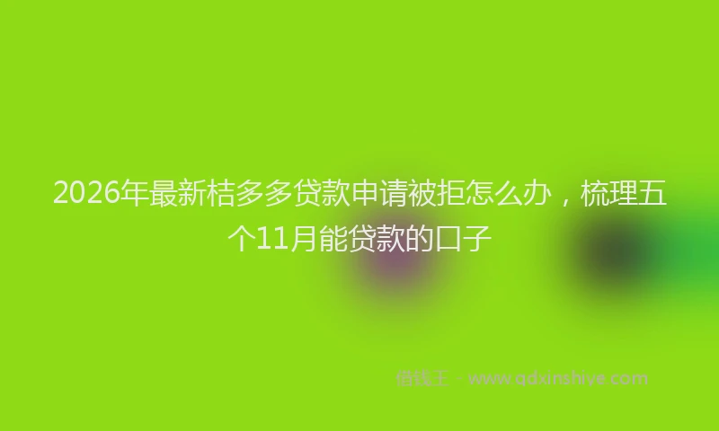 2026年最新桔多多贷款申请被拒怎么办，梳理五个11月能贷款的口子