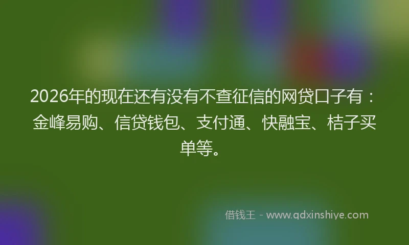 2026年的现在还有没有不查征信的网贷口子有：金峰易购、信贷钱包、支付通、快融宝、桔子买单等。