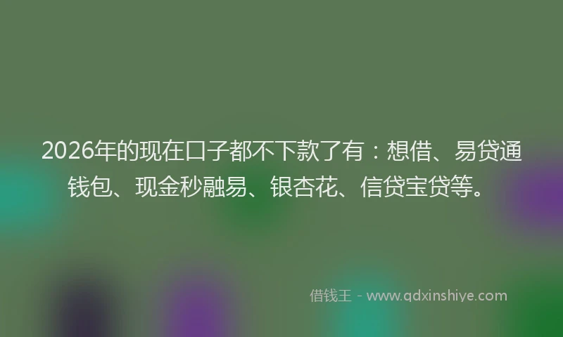 2026年的现在口子都不下款了有：想借、易贷通钱包、现金秒融易、银杏花、信贷宝贷等。