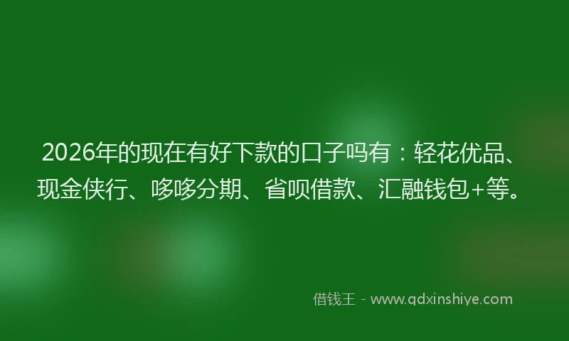 2026年的现在有好下款的口子吗有：轻花优品、现金侠行、哆哆分期、省呗借款、汇融钱包+等。