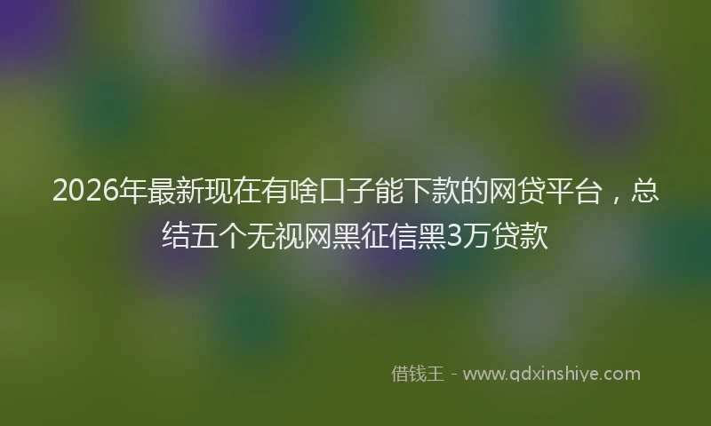 2026年最新现在有啥口子能下款的网贷平台，总结五个无视网黑征信黑3万贷款