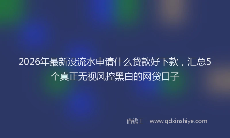 2026年最新没流水申请什么贷款好下款，汇总5个真正无视风控黑白的网贷口子