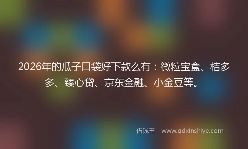 2026年的瓜子口袋好下款么有：微粒宝盒、桔多多、臻心贷、京东金融、小金豆等。