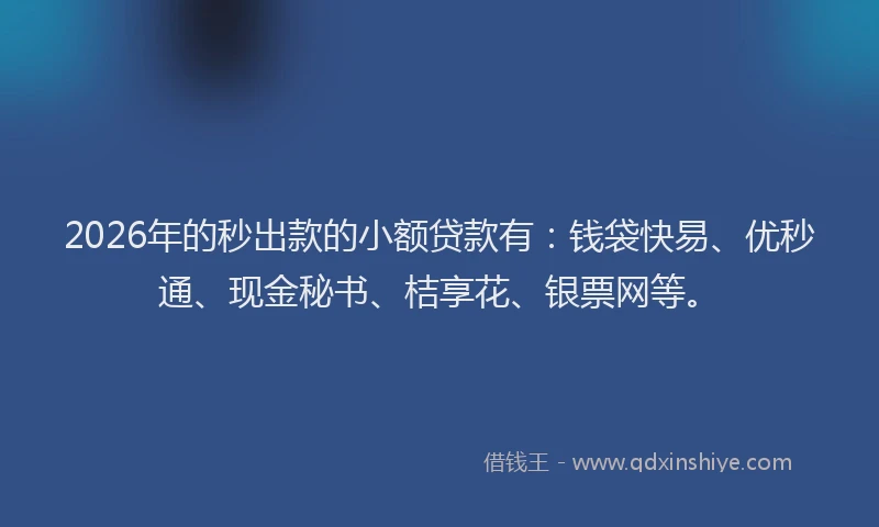 2026年的秒出款的小额贷款有：钱袋快易、优秒通、现金秘书、桔享花、银票网等。