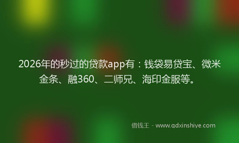 2026年的秒过的贷款app有：钱袋易贷宝、微米金条、融360、二师兄、海印金服等。