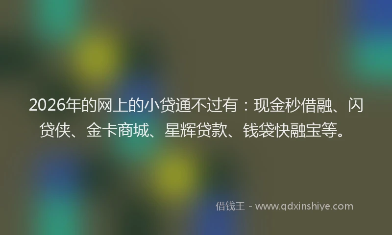 2026年的网上的小贷通不过有：现金秒借融、闪贷侠、金卡商城、星辉贷款、钱袋快融宝等。