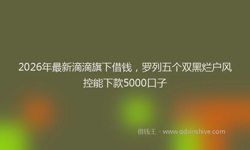 2026年最新滴滴旗下借钱，罗列五个双黑烂户风控能下款5000口子