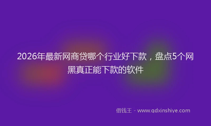 2026年最新网商贷哪个行业好下款，盘点5个网黑真正能下款的软件