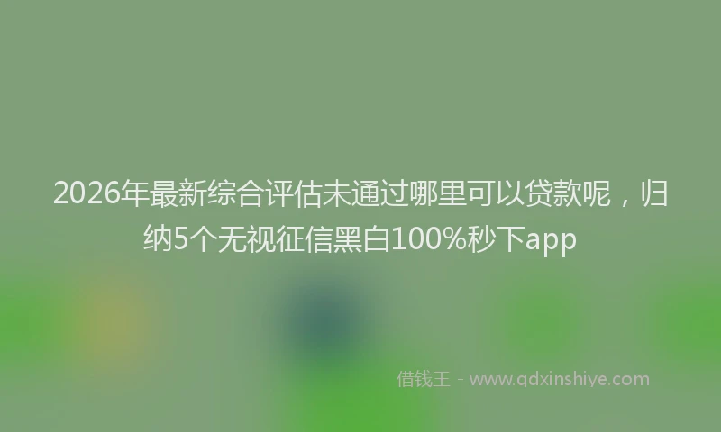 2026年最新综合评估未通过哪里可以贷款呢，归纳5个无视征信黑白100%秒下app