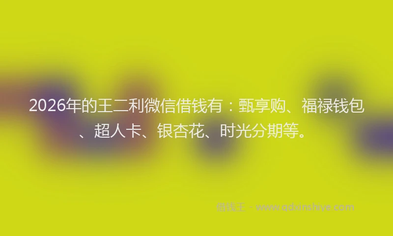 2026年的王二利微信借钱有：甄享购、福禄钱包、超人卡、银杏花、时光分期等。