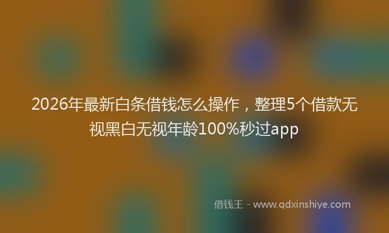 2026年最新白条借钱怎么操作，整理5个借款无视黑白无视年龄100%秒过app