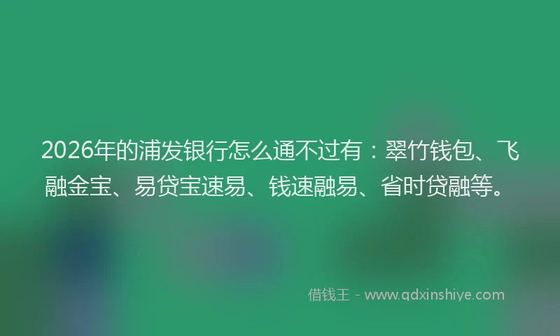 2026年的浦发银行怎么通不过有：翠竹钱包、飞融金宝、易贷宝速易、钱速融易、省时贷融等。