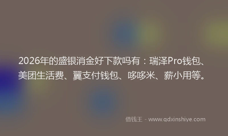 2026年的盛银消金好下款吗有：瑞泽Pro钱包、美团生活费、翼支付钱包、哆哆米、薪小用等。