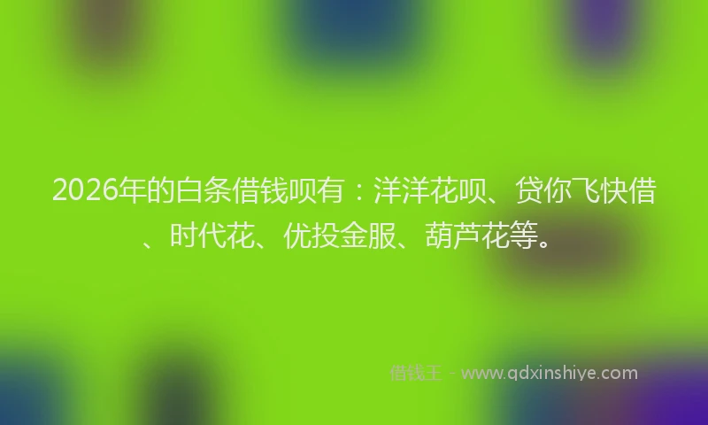 2026年的白条借钱呗有：洋洋花呗、贷你飞快借、时代花、优投金服、葫芦花等。